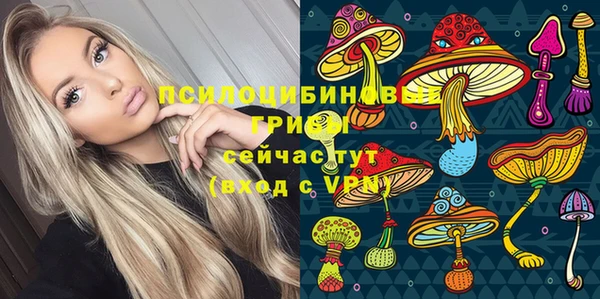 твердый Ельня