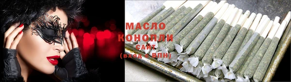 твердый Ельня