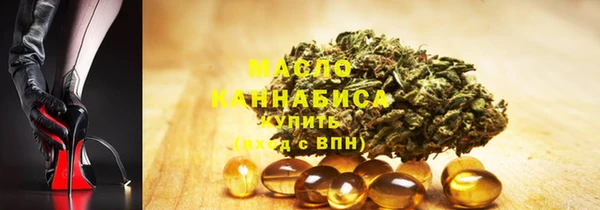 твердый Ельня