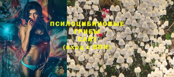 амфетамин Елизово