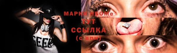 твердый Ельня
