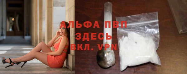 твердый Ельня
