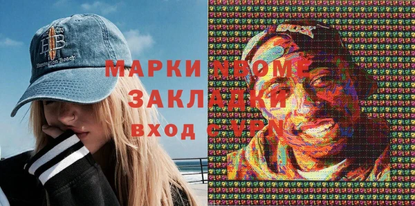 твердый Ельня