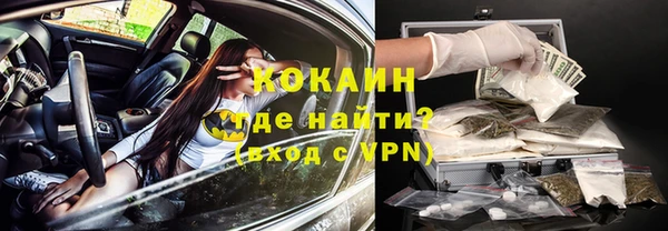 твердый Ельня