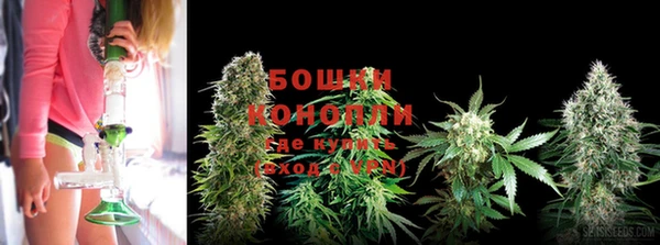 хмурый Елабуга